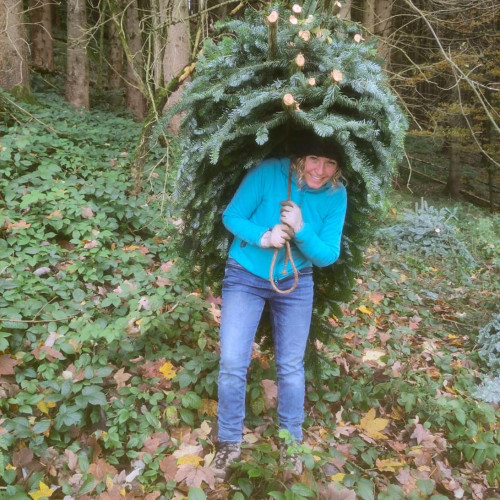 {"id":4809,"disk_name":"69091fad0ea9c433264514.jpg","file_name":"c_05.jpg","file_size":339844,"content_type":"image\/jpeg","title":null,"description":null,"field":"image","sort_order":4809,"created_at":"2025-11-03T21:33:33.000000Z","updated_at":"2025-11-03T21:33:34.000000Z","offline_responsiveimages_focus_x_axis":null,"offline_responsiveimages_focus_y_axis":null,"path":"http:\/\/claudia-fellmann.ch\/storage\/app\/uploads\/public\/690\/91f\/ad0\/69091fad0ea9c433264514.jpg","extension":"jpg"}