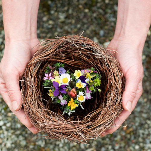 {"id":4926,"disk_name":"6930160433593269783343.jpg","file_name":"nestherz_kachel.jpg","file_size":607205,"content_type":"image\/jpeg","title":null,"description":null,"field":"image","sort_order":4926,"created_at":"2025-12-03T10:50:44.000000Z","updated_at":"2025-12-03T10:50:50.000000Z","offline_responsiveimages_focus_x_axis":null,"offline_responsiveimages_focus_y_axis":null,"path":"https:\/\/claudia-fellmann.ch\/storage\/app\/uploads\/public\/693\/016\/043\/6930160433593269783343.jpg","extension":"jpg"}