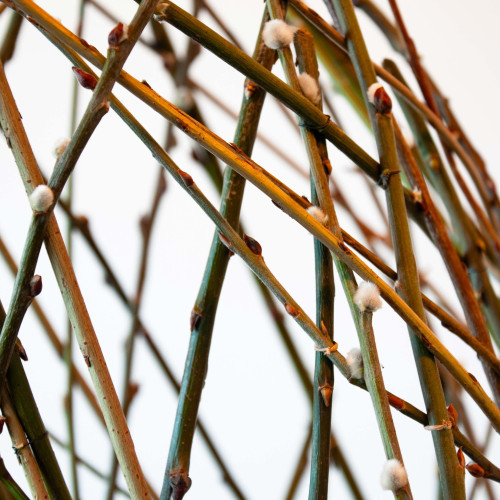 {"id":4896,"disk_name":"692f0ff6b04bb486882435.jpg","file_name":"\u00e4m_27 Kopie.jpg","file_size":757177,"content_type":"image\/jpeg","title":null,"description":null,"field":"image","sort_order":4896,"created_at":"2025-12-02T16:12:38.000000Z","updated_at":"2025-12-02T16:12:42.000000Z","offline_responsiveimages_focus_x_axis":null,"offline_responsiveimages_focus_y_axis":null,"path":"https:\/\/claudia-fellmann.ch\/storage\/app\/uploads\/public\/692\/f0f\/f6b\/692f0ff6b04bb486882435.jpg","extension":"jpg"}