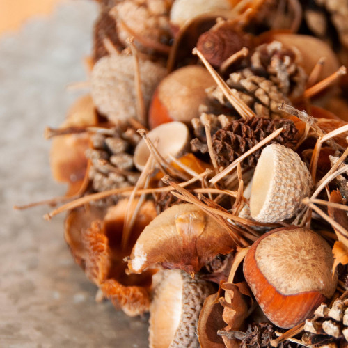 {"id":4919,"disk_name":"692f425fe3e64712991102.jpg","file_name":"zapfen.jpg","file_size":648640,"content_type":"image\/jpeg","title":null,"description":null,"field":"image","sort_order":4919,"created_at":"2025-12-02T19:47:43.000000Z","updated_at":"2025-12-02T19:48:20.000000Z","offline_responsiveimages_focus_x_axis":null,"offline_responsiveimages_focus_y_axis":null,"path":"https:\/\/claudia-fellmann.ch\/storage\/app\/uploads\/public\/692\/f42\/5fe\/692f425fe3e64712991102.jpg","extension":"jpg"}