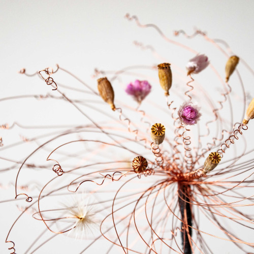 {"id":4889,"disk_name":"692f0d980e63c516995866.jpg","file_name":"Hintergrund_Drahtiges.jpg","file_size":599479,"content_type":"image\/jpeg","title":null,"description":null,"field":"image","sort_order":4889,"created_at":"2025-12-02T16:02:32.000000Z","updated_at":"2025-12-02T16:02:33.000000Z","offline_responsiveimages_focus_x_axis":null,"offline_responsiveimages_focus_y_axis":null,"path":"https:\/\/claudia-fellmann.ch\/storage\/app\/uploads\/public\/692\/f0d\/980\/692f0d980e63c516995866.jpg","extension":"jpg"}