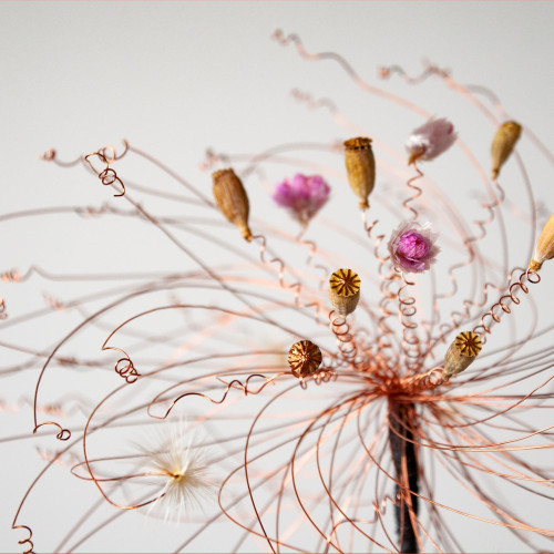 {"id":4375,"disk_name":"67ceb933cedc6870269322.jpg","file_name":"drahtiges_03.jpg","file_size":349213,"content_type":"image\/jpeg","title":null,"description":null,"field":"image","sort_order":4375,"created_at":"2025-03-10T10:04:35.000000Z","updated_at":"2025-03-10T10:04:37.000000Z","offline_responsiveimages_focus_x_axis":null,"offline_responsiveimages_focus_y_axis":null,"path":"https:\/\/claudia-fellmann.ch\/storage\/app\/uploads\/public\/67c\/eb9\/33c\/67ceb933cedc6870269322.jpg","extension":"jpg"}